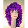 Lacey Wigs Clown Disco